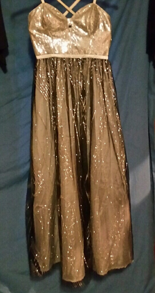 Prom/pageant dress